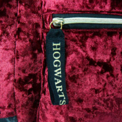 Harry Potter Platform 9 3/4 zaino 40 cm