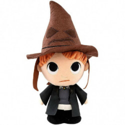 Harry Potter Ron con...