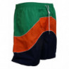 Pantaloncini da bagno costumi da bagno da uomo stampa logo multicol
