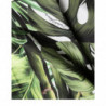 Abito longuette in cotone con stampa foglie verdi - IT46-XL