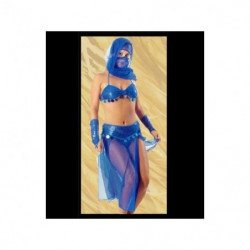 Costume da Danzatrice del...